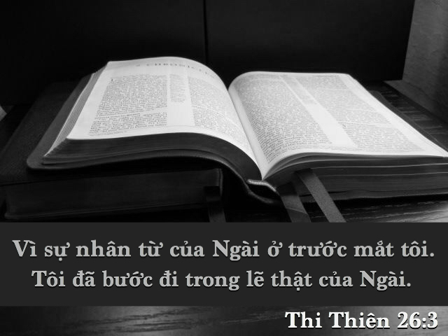 Thi-thiên 26:3