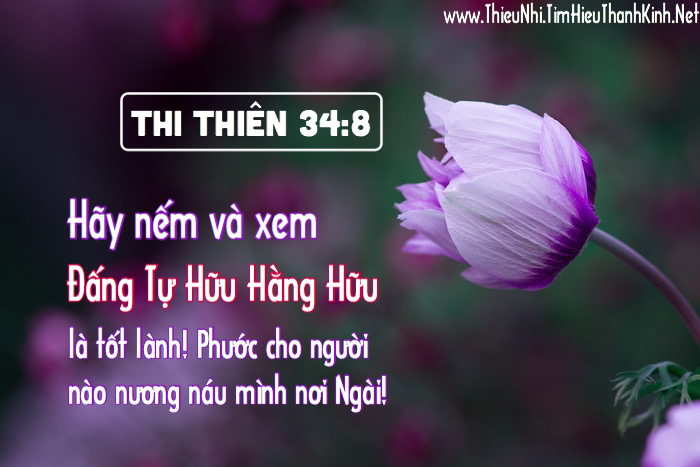 Thi Thiên 34:8