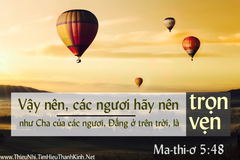 Ma-thi-ơ 5:48