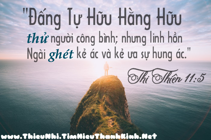 Thi Thiên 11:5