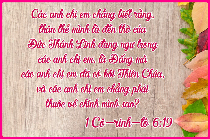 1 Cô-rinh-tô 6:19