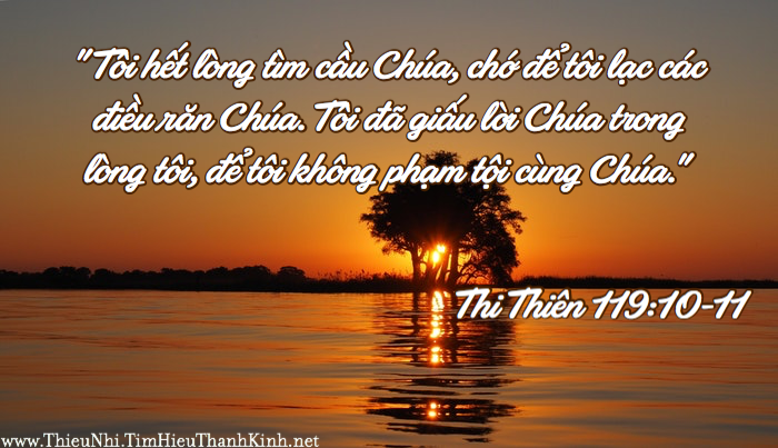 Thi Thiên 119:10-11